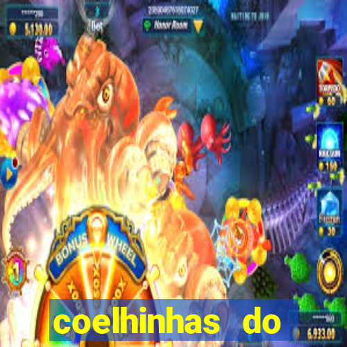 coelhinhas do brasil acompanhantes